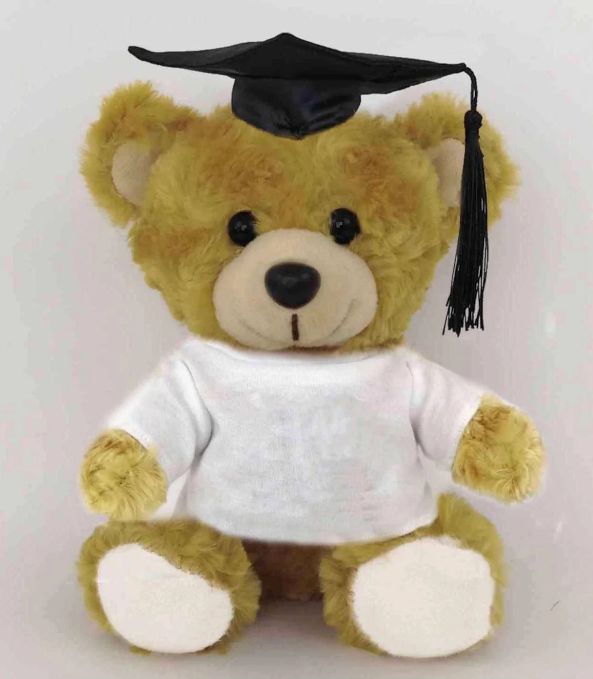 Graduation Bear with Shirt